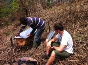 beehive_installation